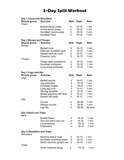 Workout Routines 5 Day Split