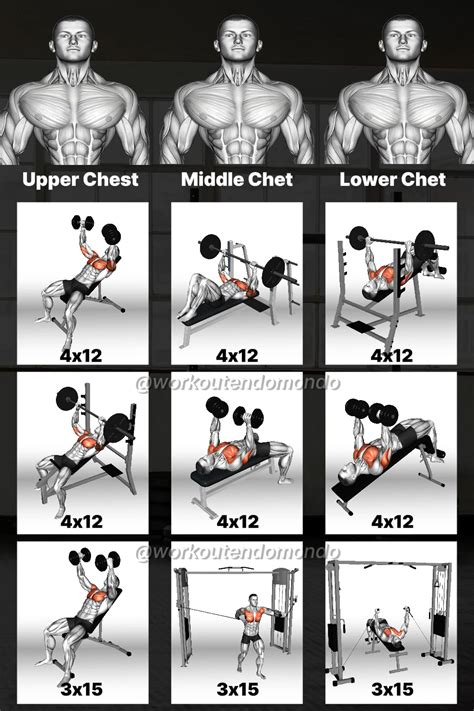 Workout Routines Chest