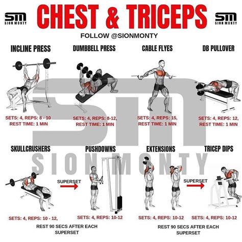 Workout Routines Chest Triceps Back Biceps