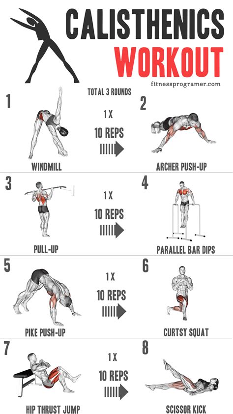 Workout Routines For Calisthenics