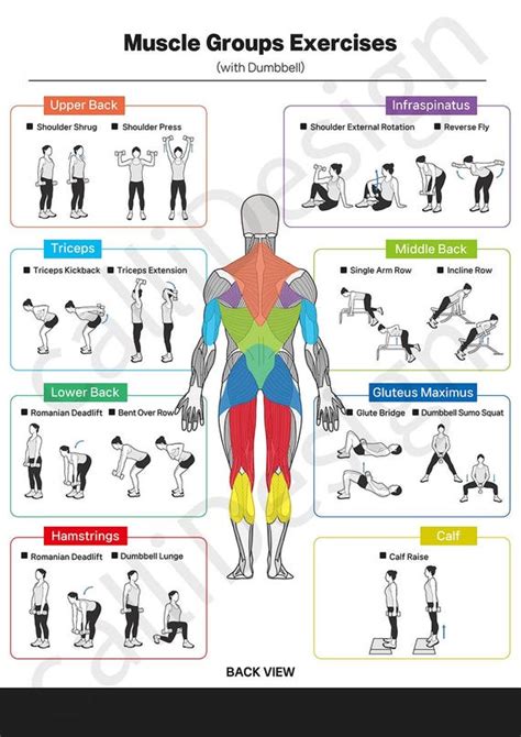 Workout Routines For Each Muscle Group