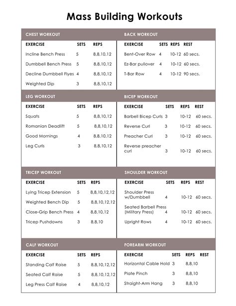 Workout Routines For Mass Building