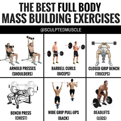 Workout Routines For Muscle Mass