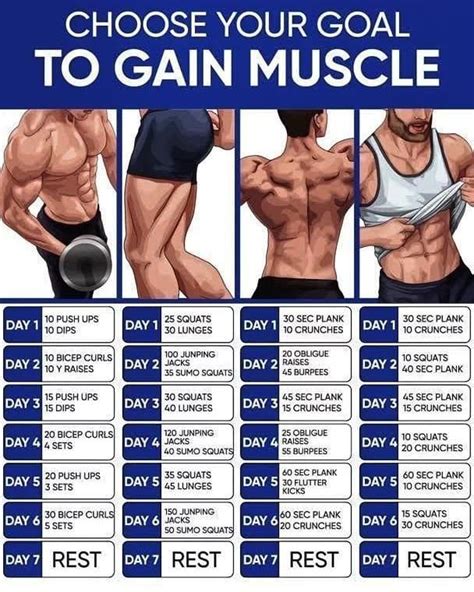 Workout Routines Gain Muscle