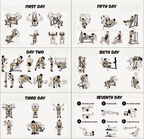 Workout Routines Gym