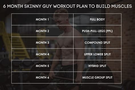 Workout Routines Skinny To Muscle