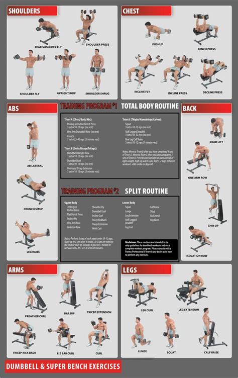 Workout Routines Weight Lifting