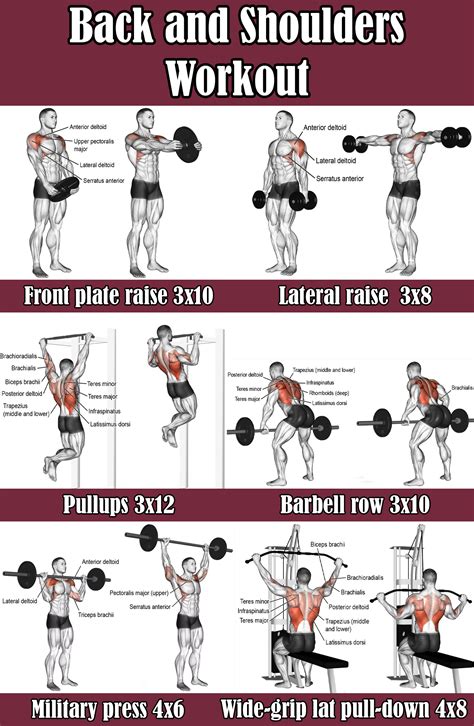 Workout Shoulder