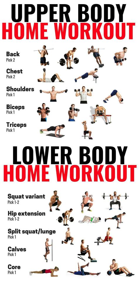 Workouts At Home Muscle Building