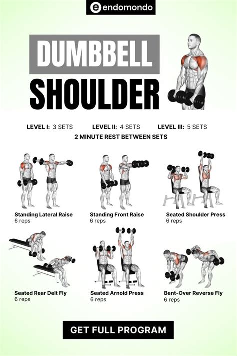 Workouts For The Shoulders