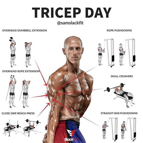 Workouts For Triceps And Biceps