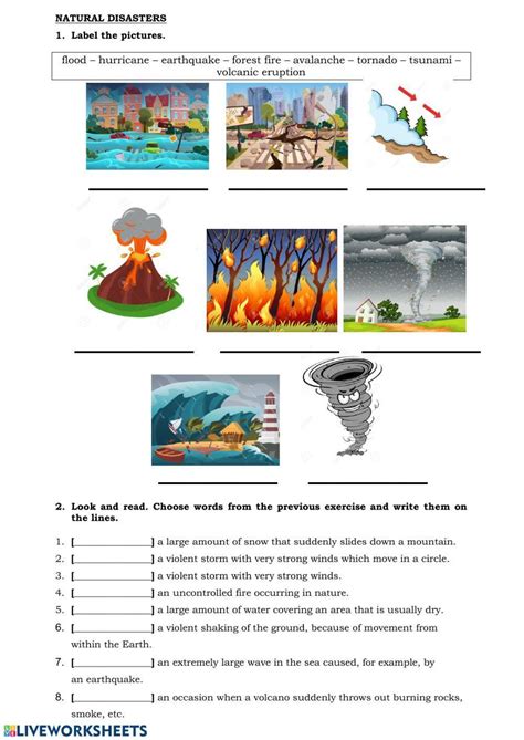 Worksheet About Natural Disasters