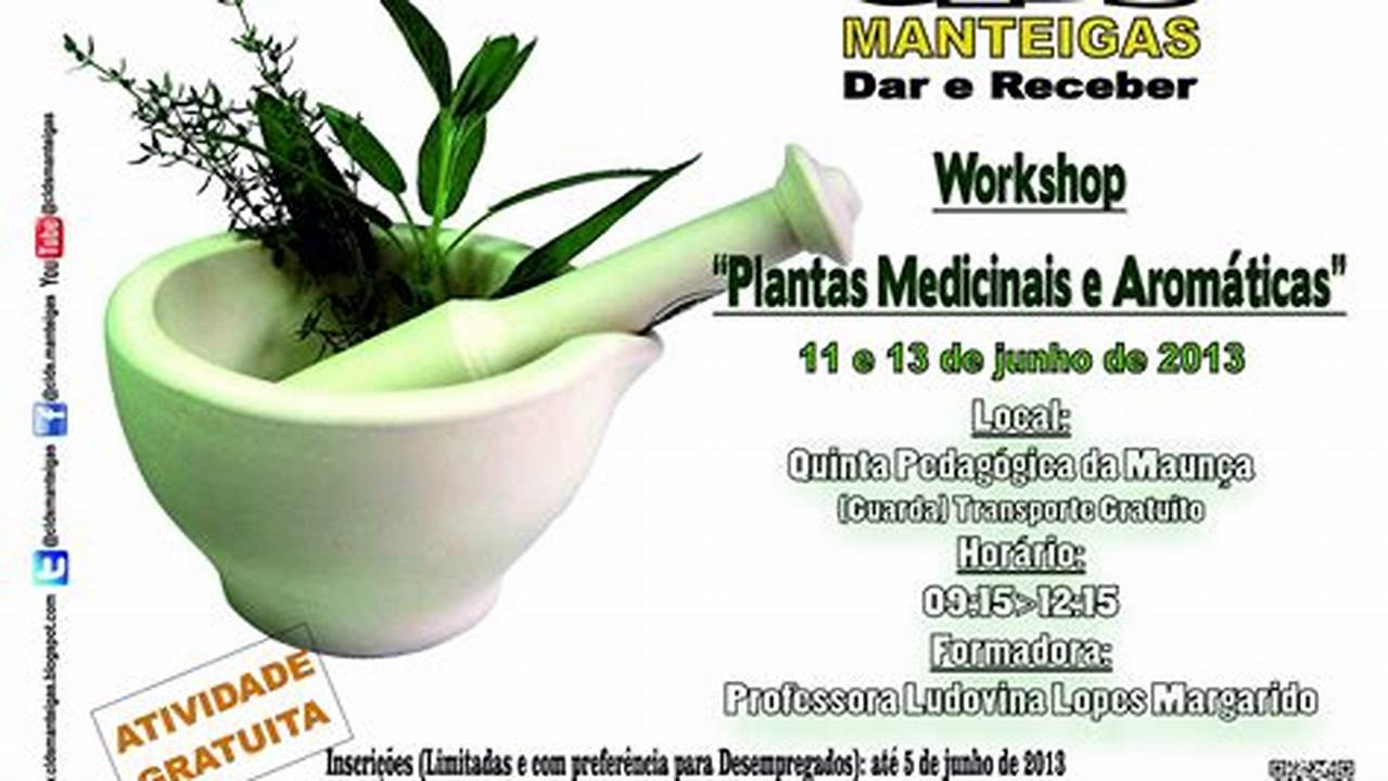 Workshops Sobre Técnicas Específicas., Plantas