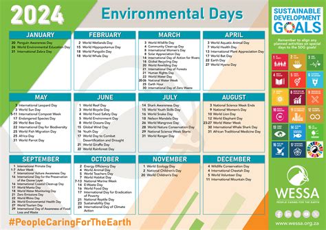 World Environmental Events Aug 2024