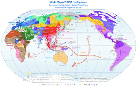 Largest YDNA Haplogroup by Country, World Map (Interactive + Static