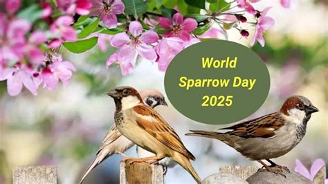 World Sparrow Day Image