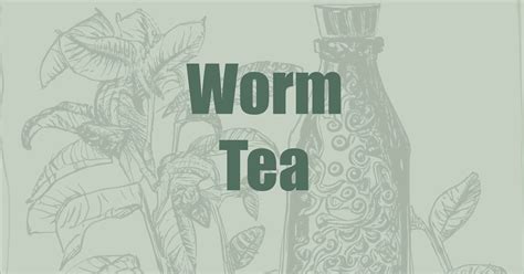 Worm Extract & Typhus: Benefits & Risks