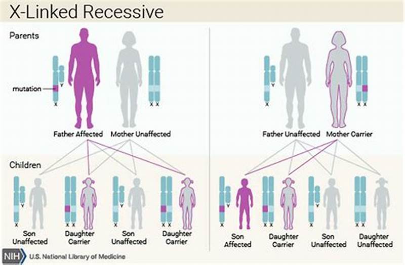 X Linked Recessive Inheritance Pattern