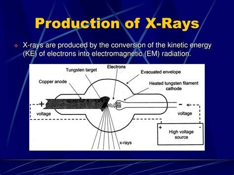 Ray Physics