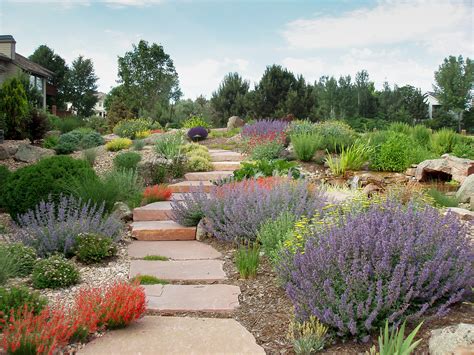 Xeriscape Landscape Pictures