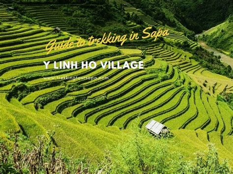 Y Linh Ho Village