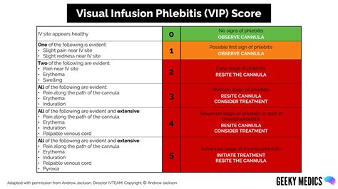 Y..m.i.s.u.n.g Scale VIP Content: Exclusive 2026 Edition