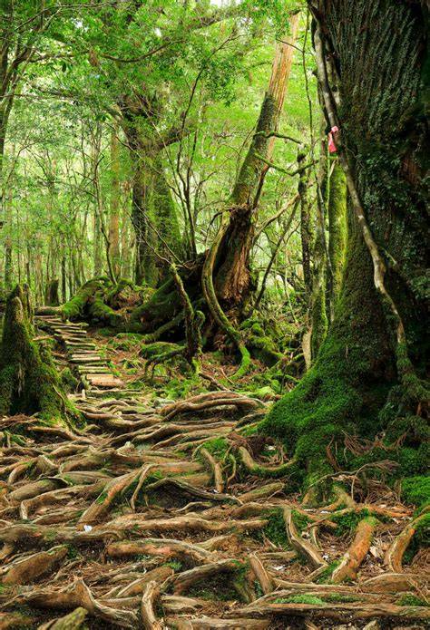 Yakushima