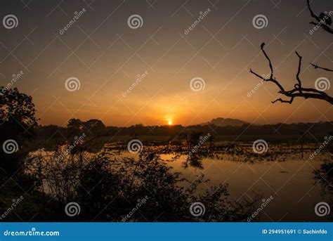 Yala National Park Sunset