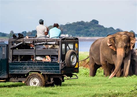 Yala Safari Booking