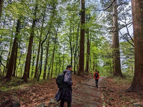 Yamadera licensed guide