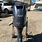 Yamaha Outboard Salvage Parts