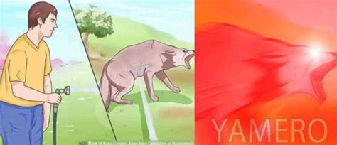 Yamero Dog Meme