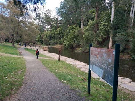Yarra River walking path