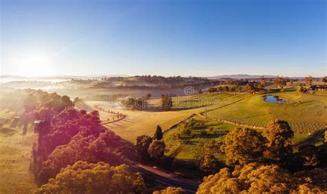 Yarra Valley Landscape