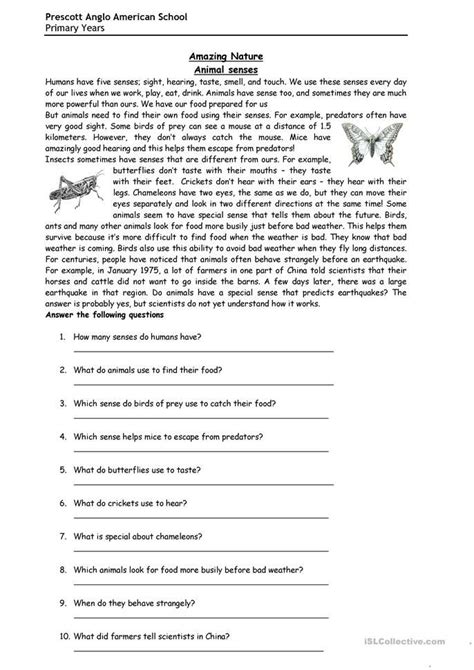 Year 5 Reading Comprehension Worksheets Free For 2023