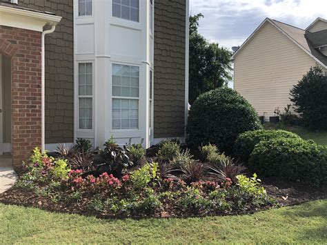 Year Round Landscaping Services in Dacula