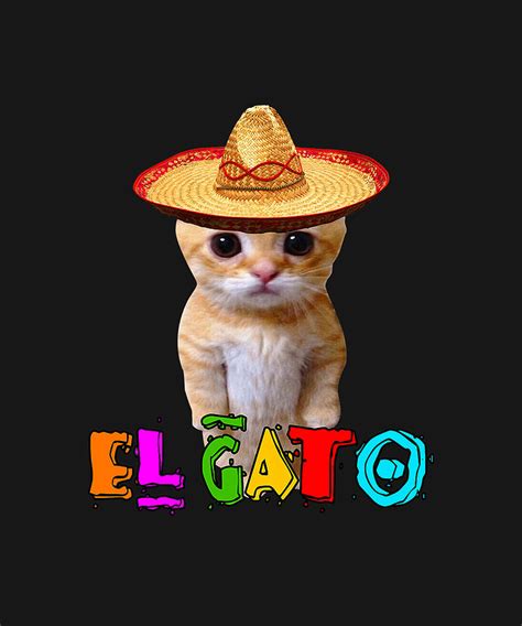 Yelling At Cat Meme Mexican