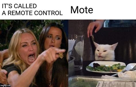 Yelling At Cat Meme Remote Control
