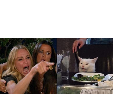 Yelling Lady Cat Meme Blank