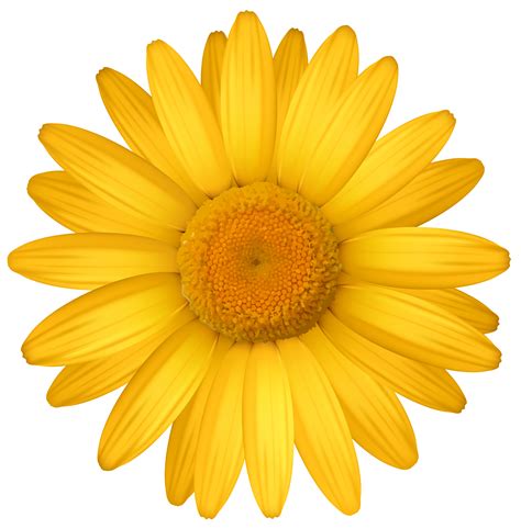 Yellow Flower Printable