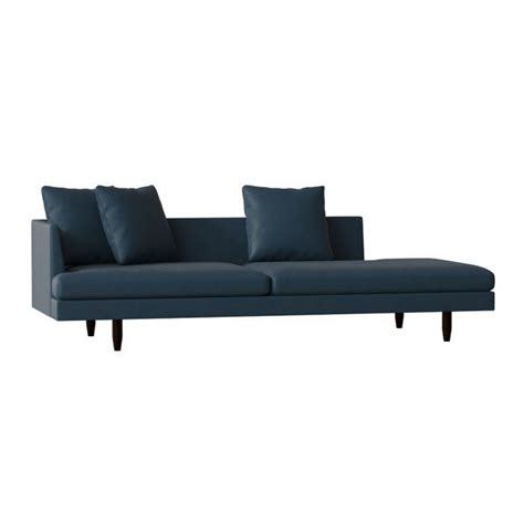 Yellow Labs The Versatile Crowd-Pleaser