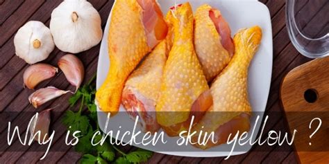 Uncovering the Golden Delight: How Yellow on Chicken Skin Brings Your Taste Buds to Life