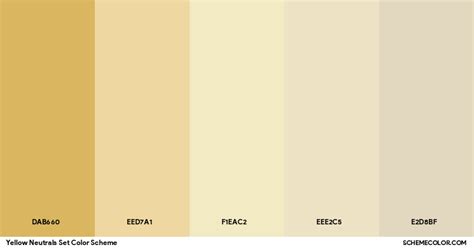 Yellow and Neutrals