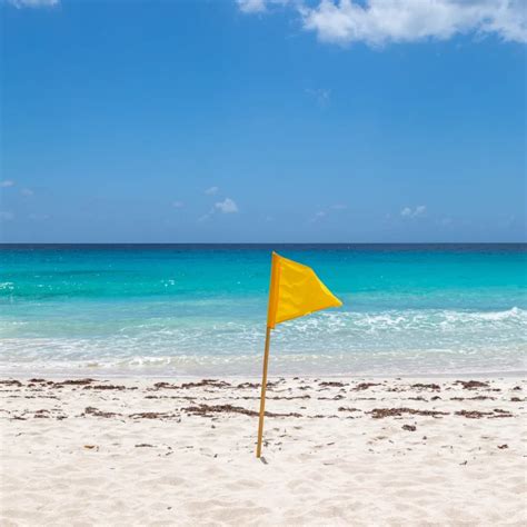 Yellow flag warning
