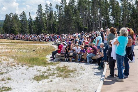 Yellowstone Crowds Summer