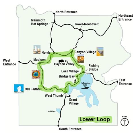 Yellowstone Lower Loop Tour: An Honest Review