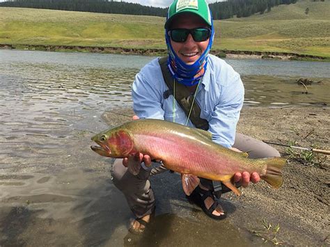 Yellowstone River Dry Fly Action