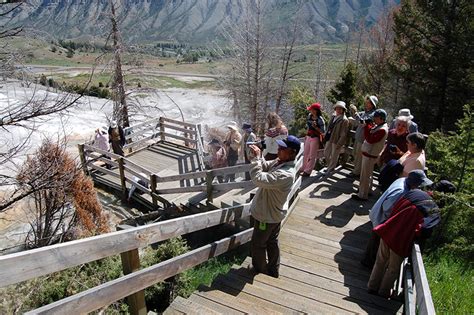 Yellowstone Tour Guide