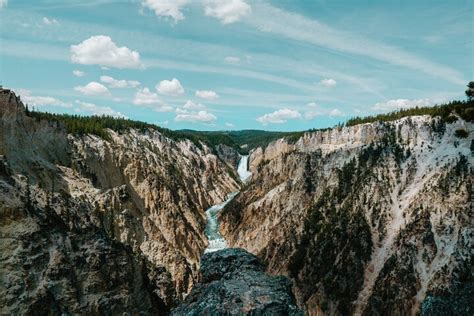 Yellowstone VIP Tour