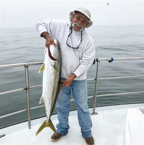 Yellowtail in the Channel Islands